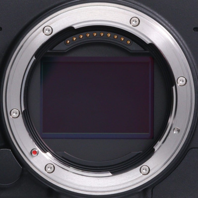 fp L ボディ
