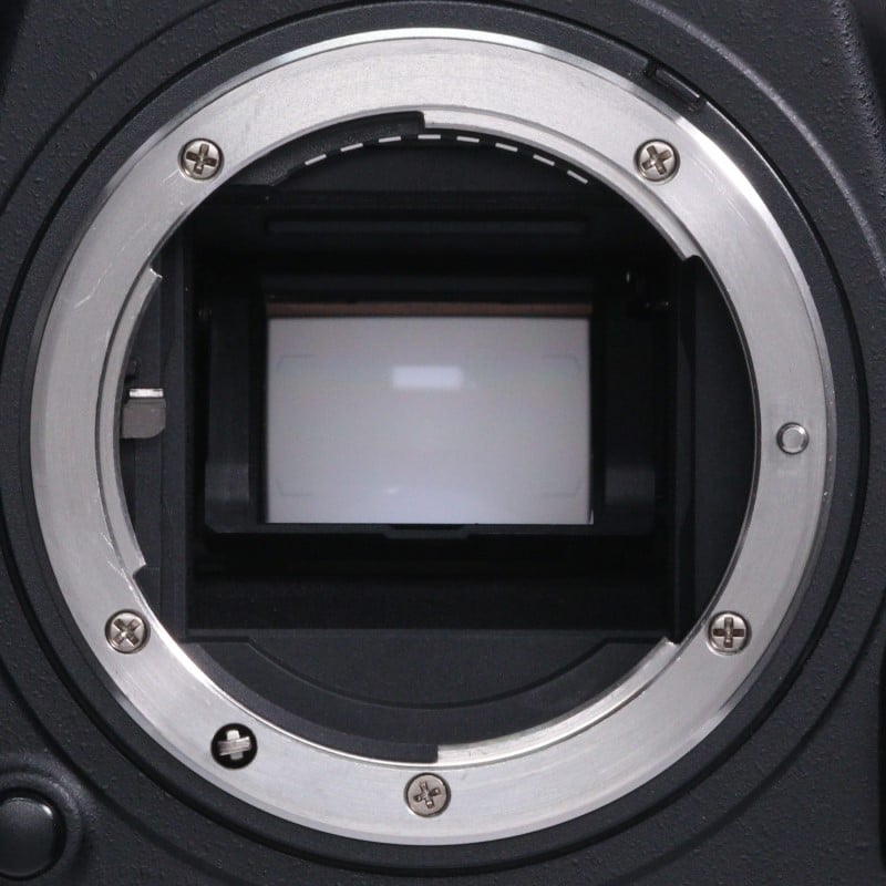 D500 ボディ