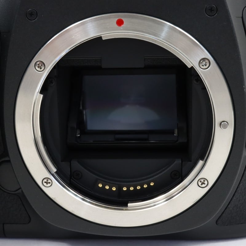 EOS 5Ds ボディー