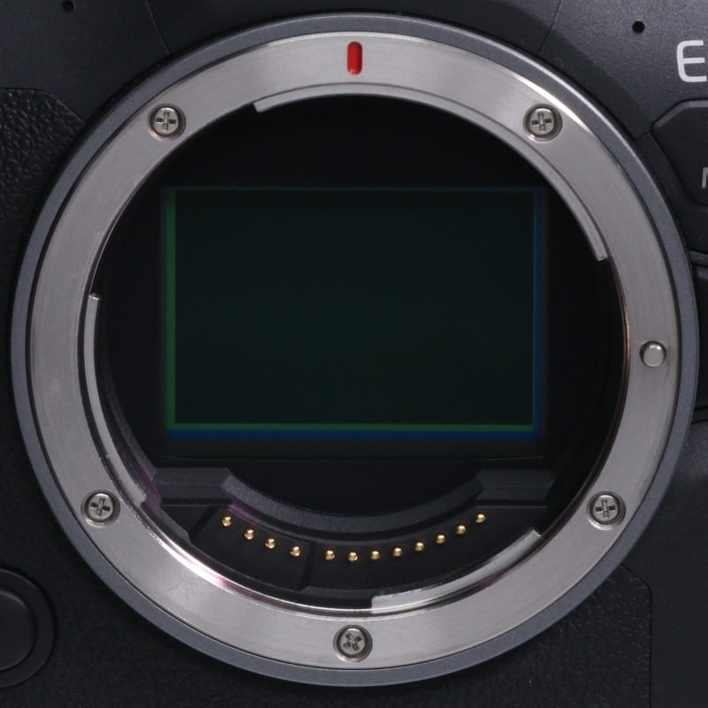 EOS R6 Mark II ボディー