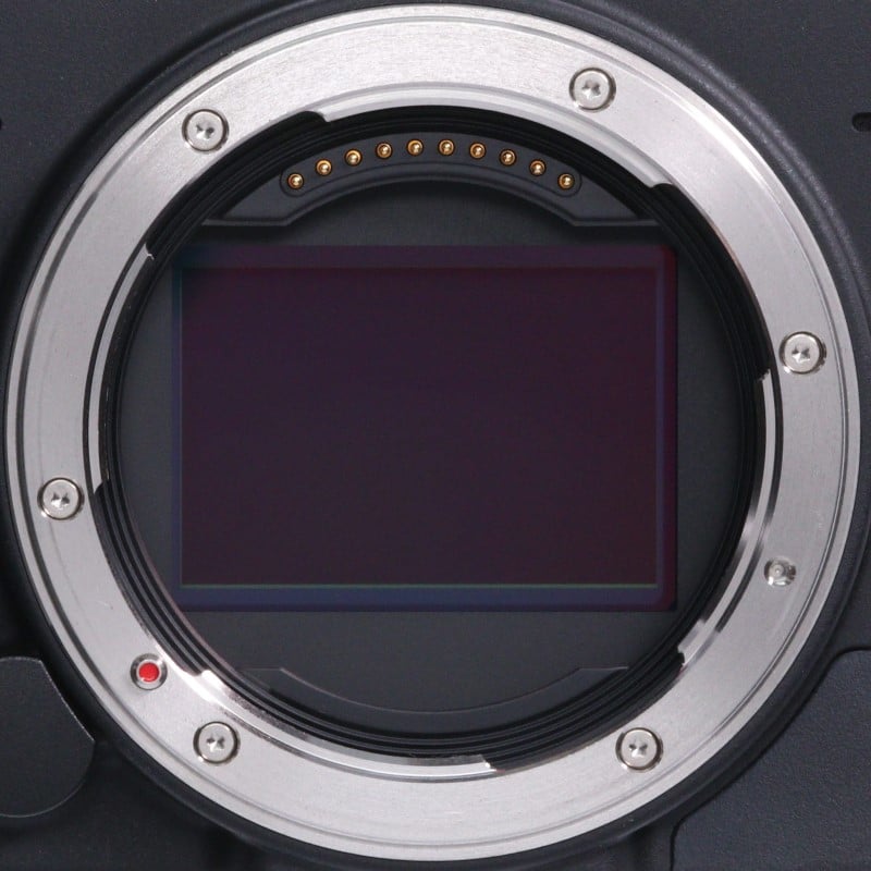 fp L ボディ