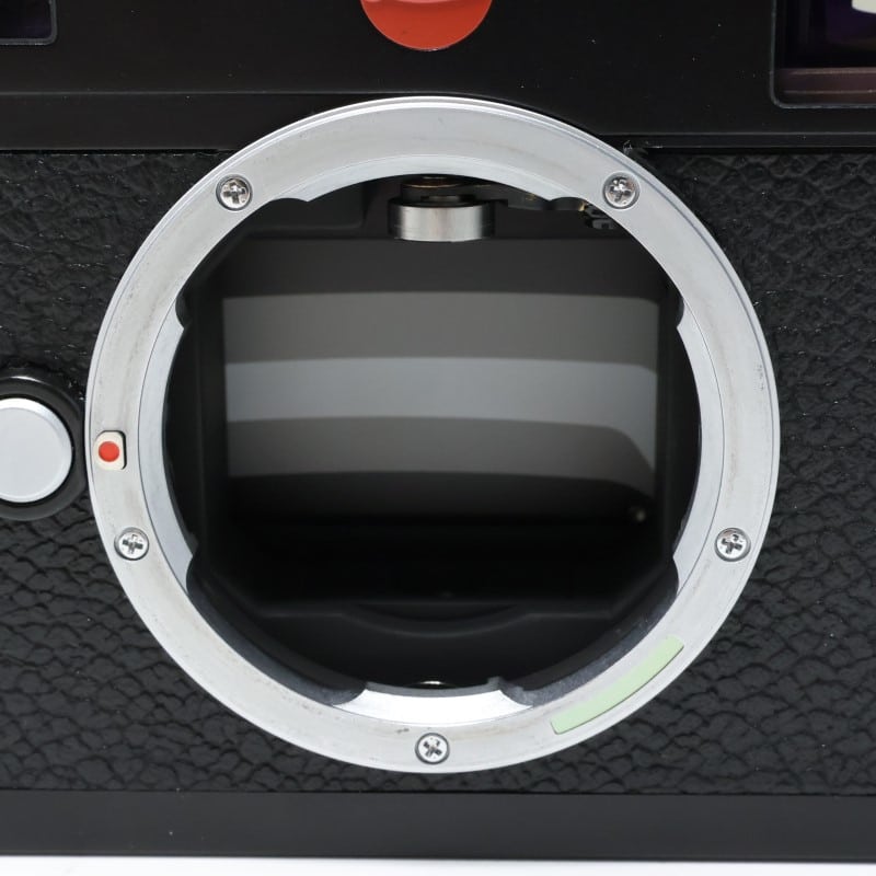 Leica M (Typ262)