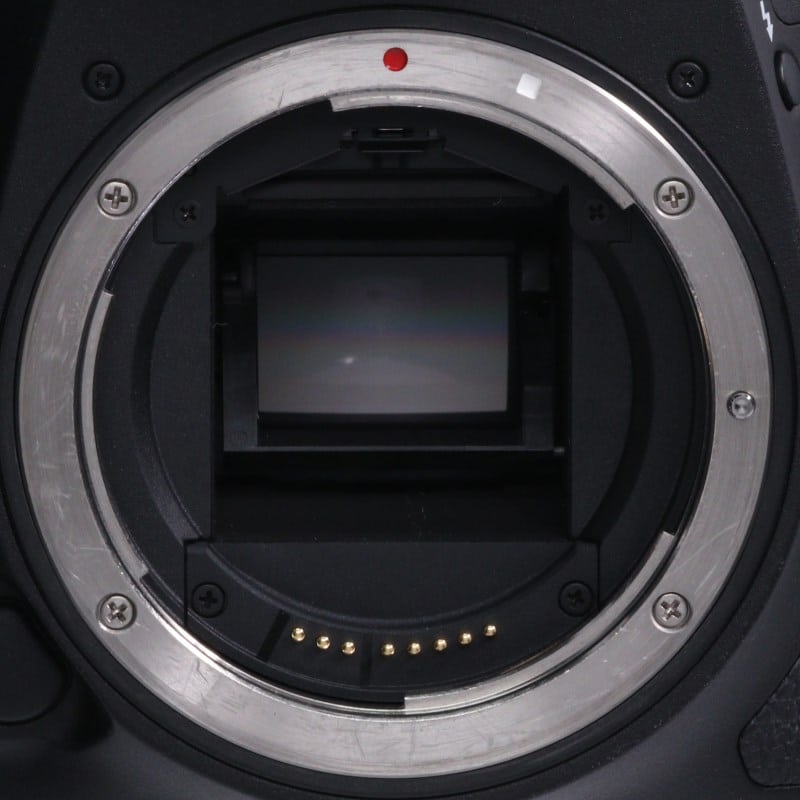 EOS 7D Mark II ボディー