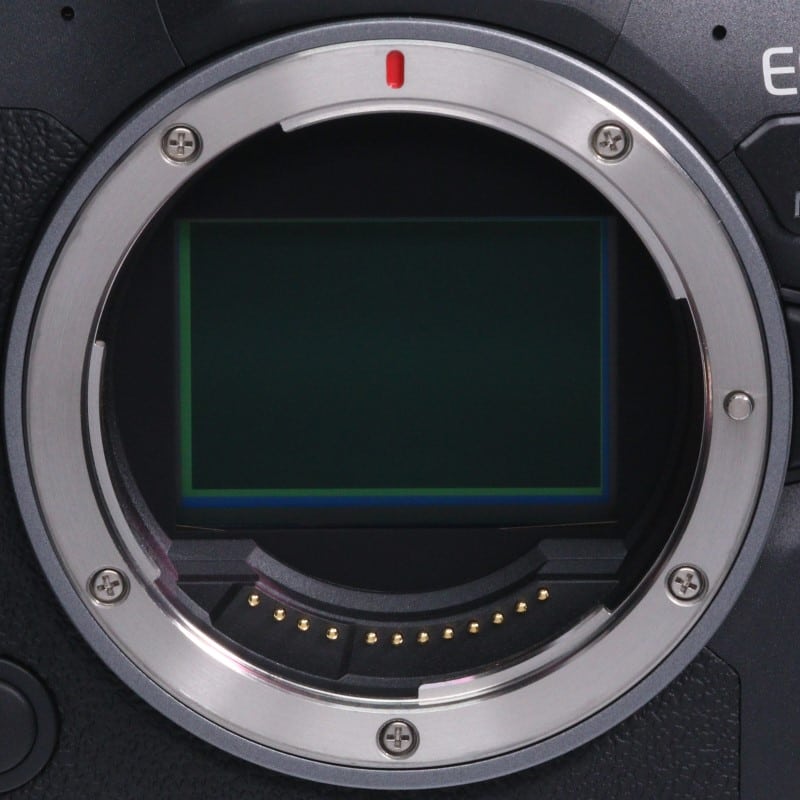 EOS R6 Mark II ボディー