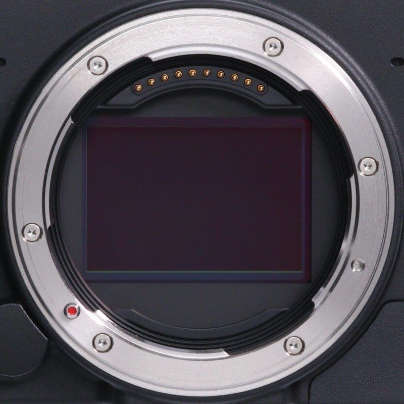 fp L ボディ