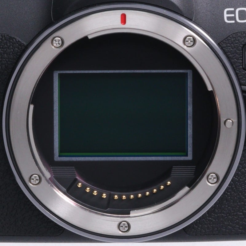 EOS R8 ボディー