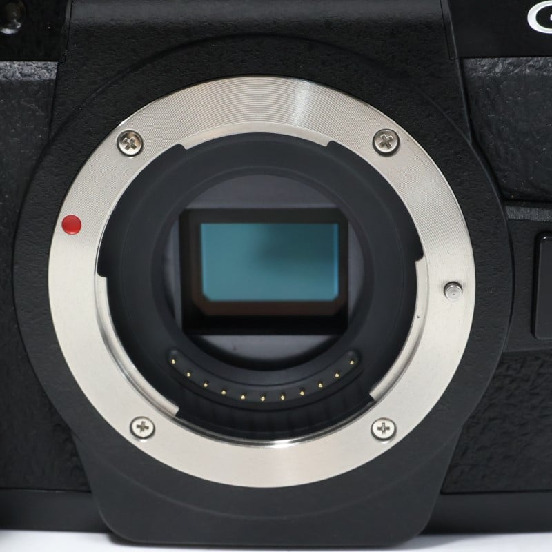 LUMIX G99D ボディ DC-G99D-K