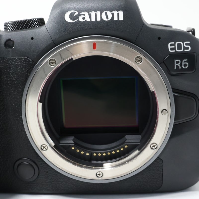 EOS R6 ボディー