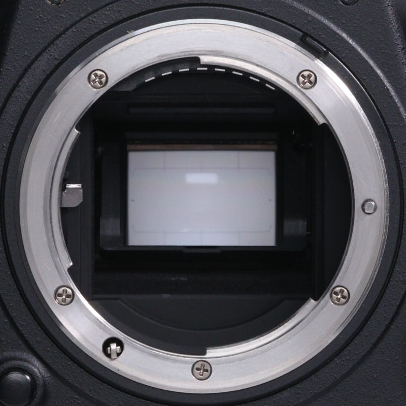 D500 ボディ