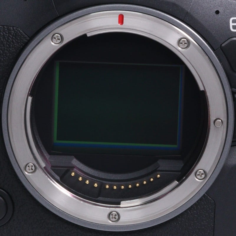EOS R6 Mark II ボディー