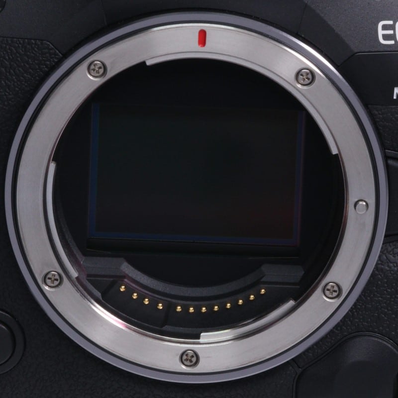 EOS R5 Mark II ボディー