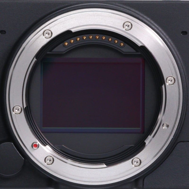 fp L ボディ