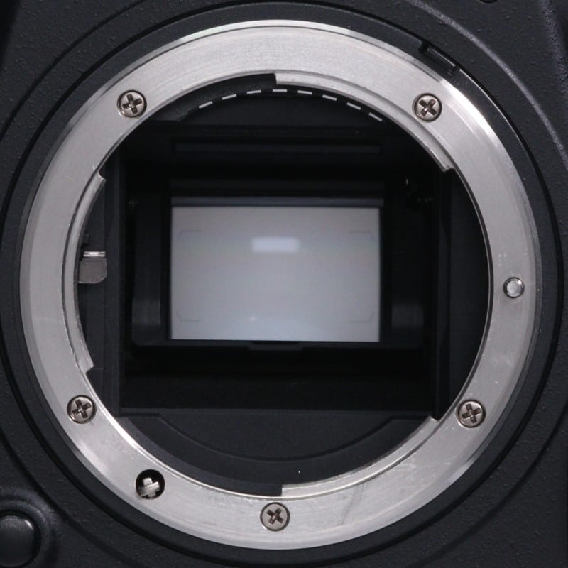 D500 ボディ