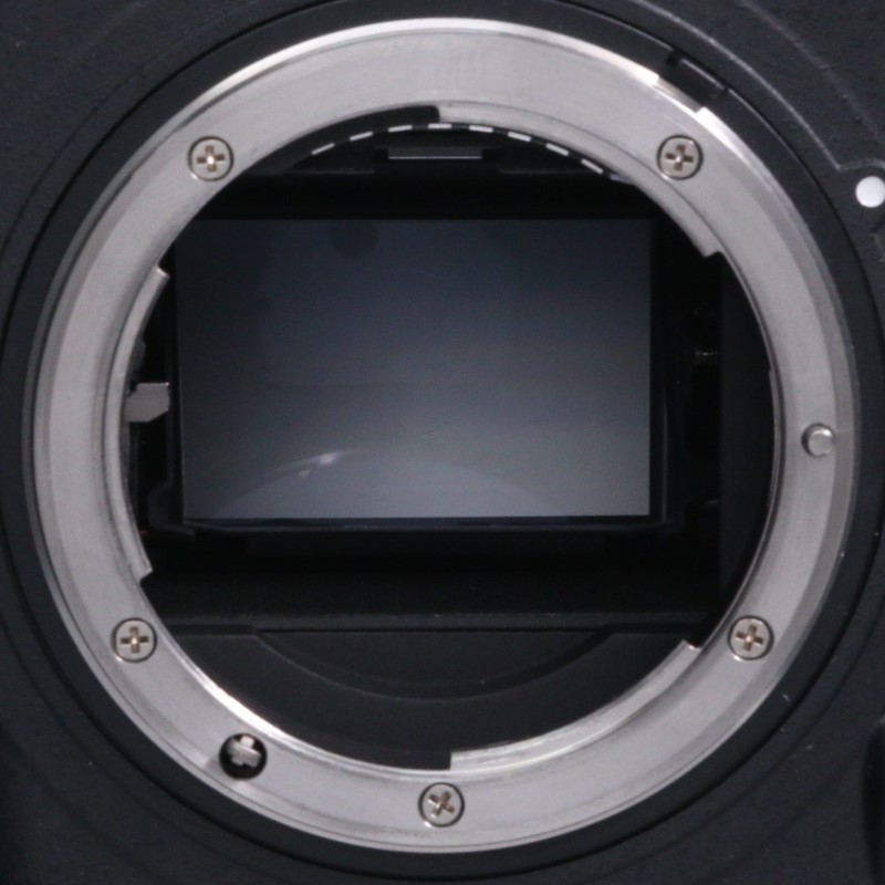 Nikon D5 XQD-Type ボディ 中古 C2120143966631|フジヤカメラ Nikon D5 XQD-Type ボディ 中古 C2120143966631|フジヤカメラ