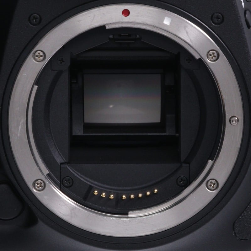 EOS 7D Mark II ボディー