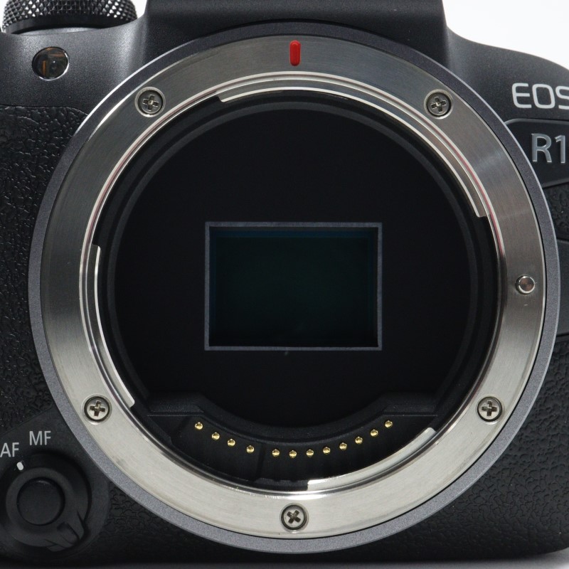 EOS R10