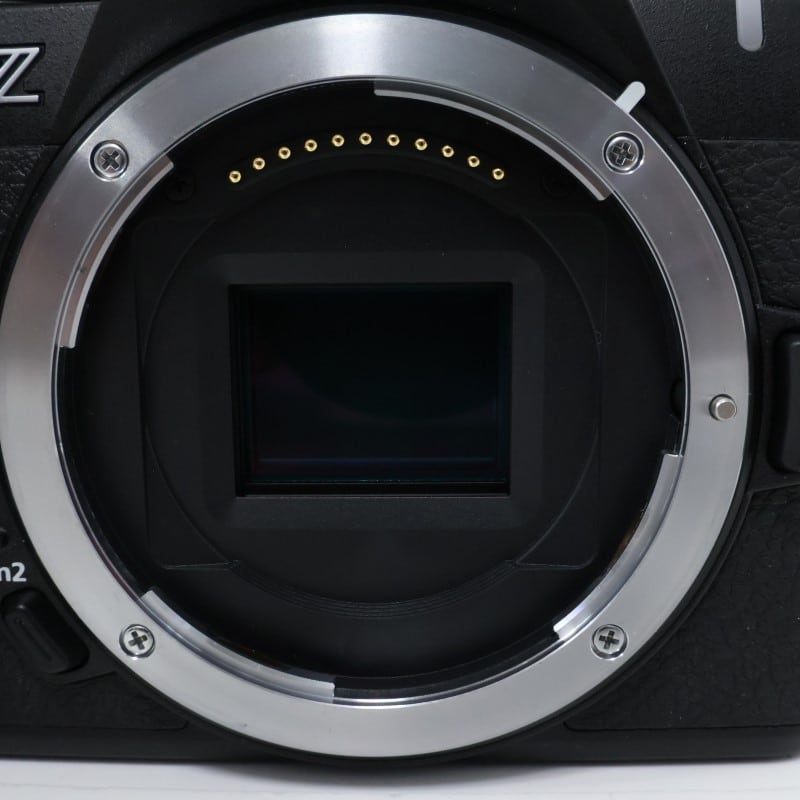 Z50II ボディ