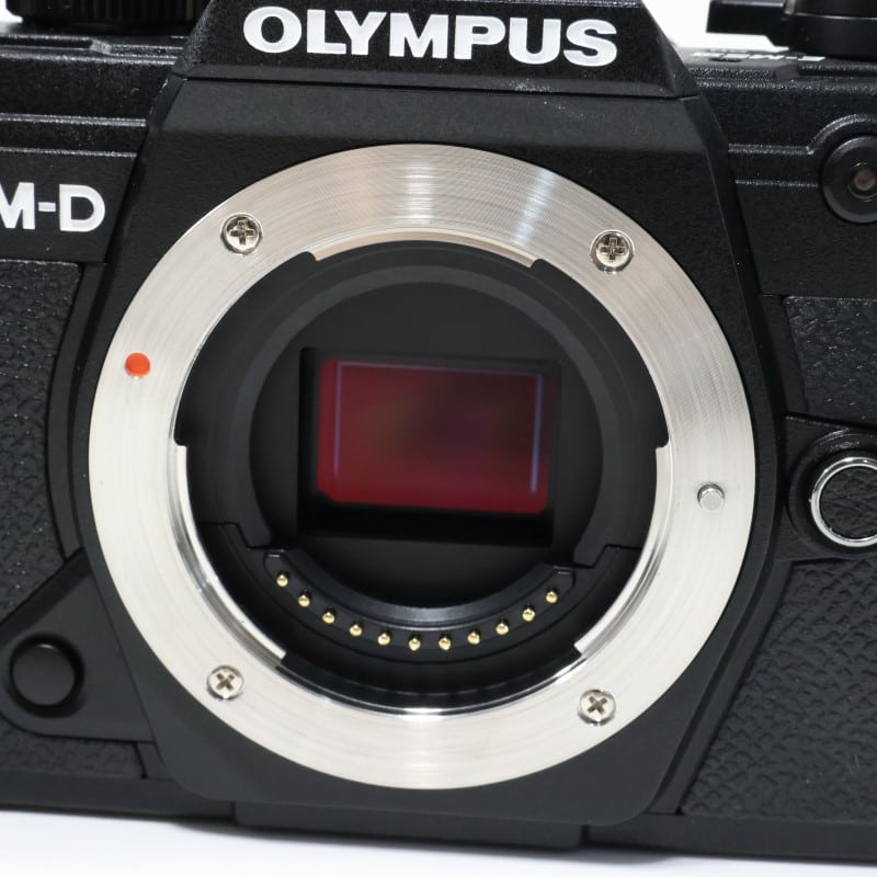 OM-D E-M5 Mark III ボディー ブラック