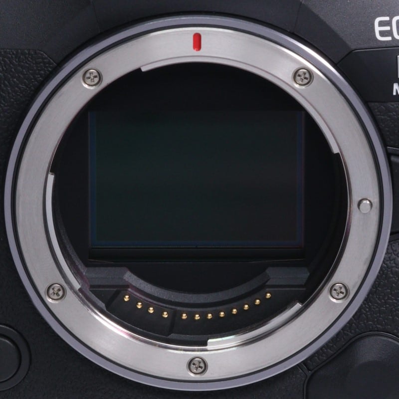 EOS R5 Mark II ボディー