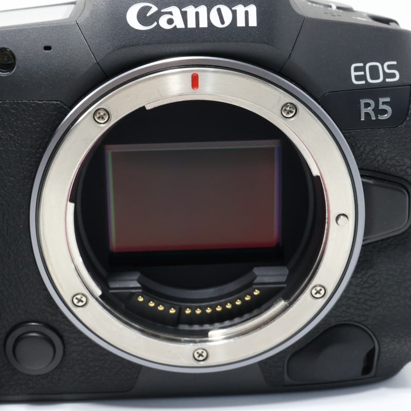EOS R5 ボディー