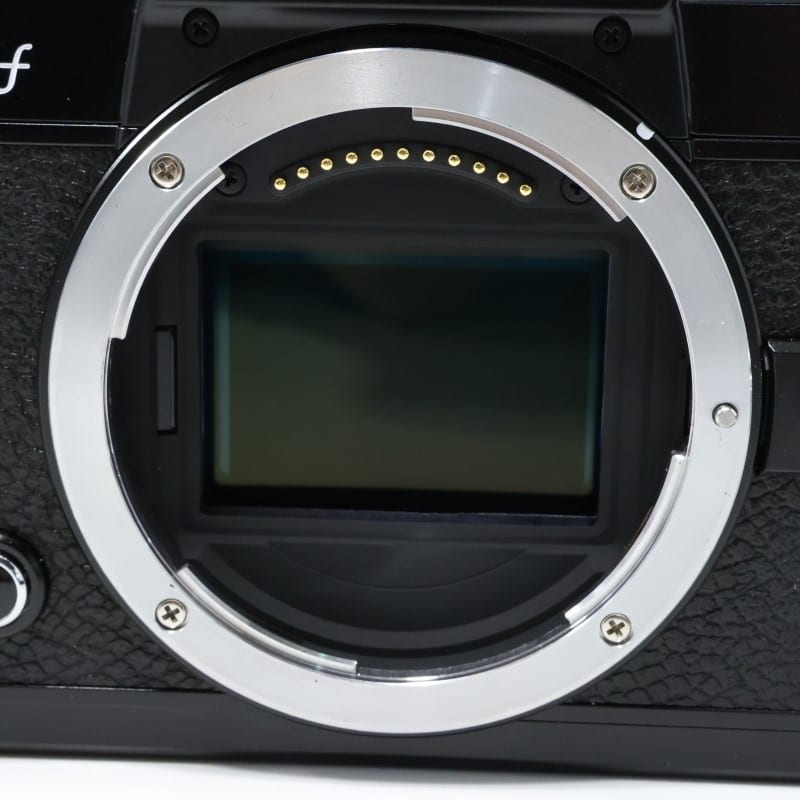 Zf ボディ（ブラック）