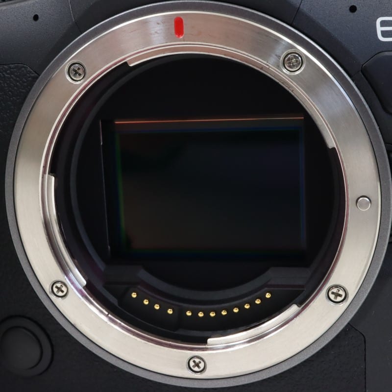 EOS R6 Mark II ボディー
