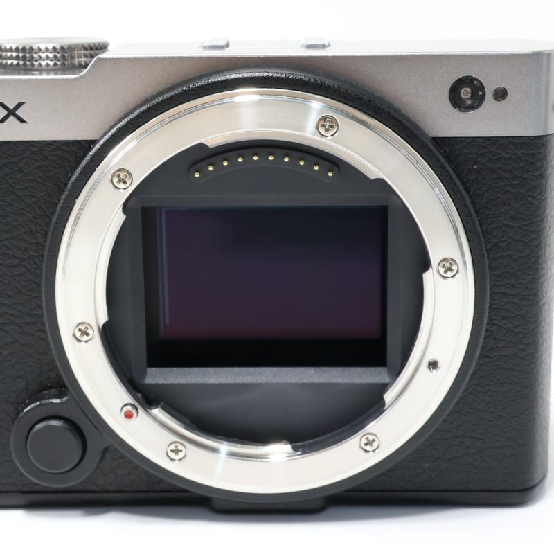 LUMIX S9 ボディ ダークシルバー DC-S9-S