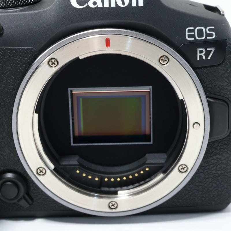 EOS R7 ボディー