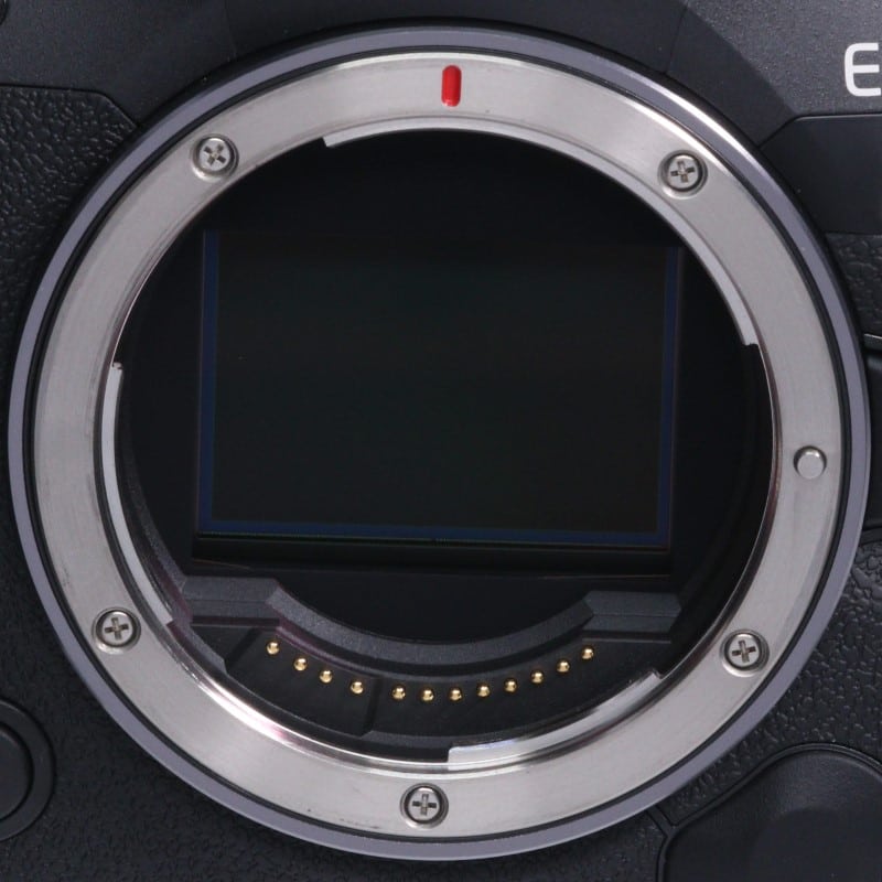 EOS R5 Mark II ボディー