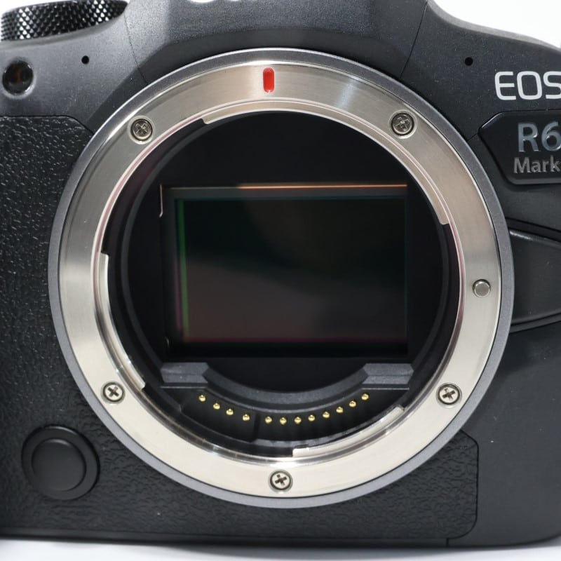 EOS R6 Mark II ボディー