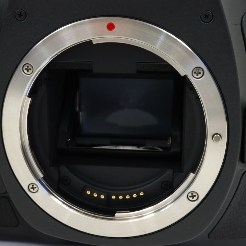 EOS 5Ds ボディー