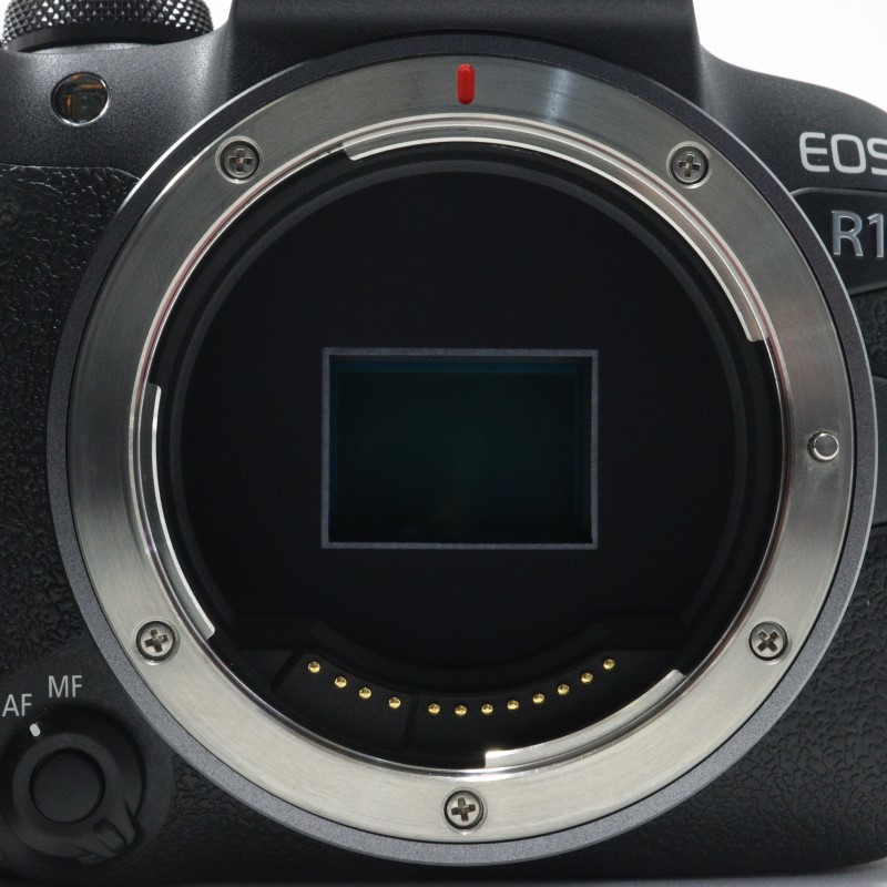 EOS R10
