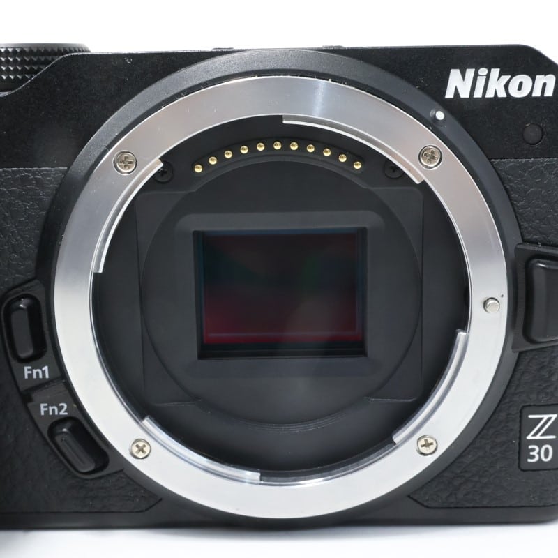 Z30 ボディ