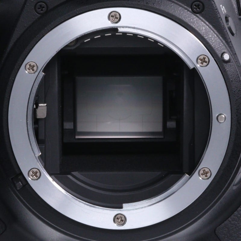 D5600 ボディ