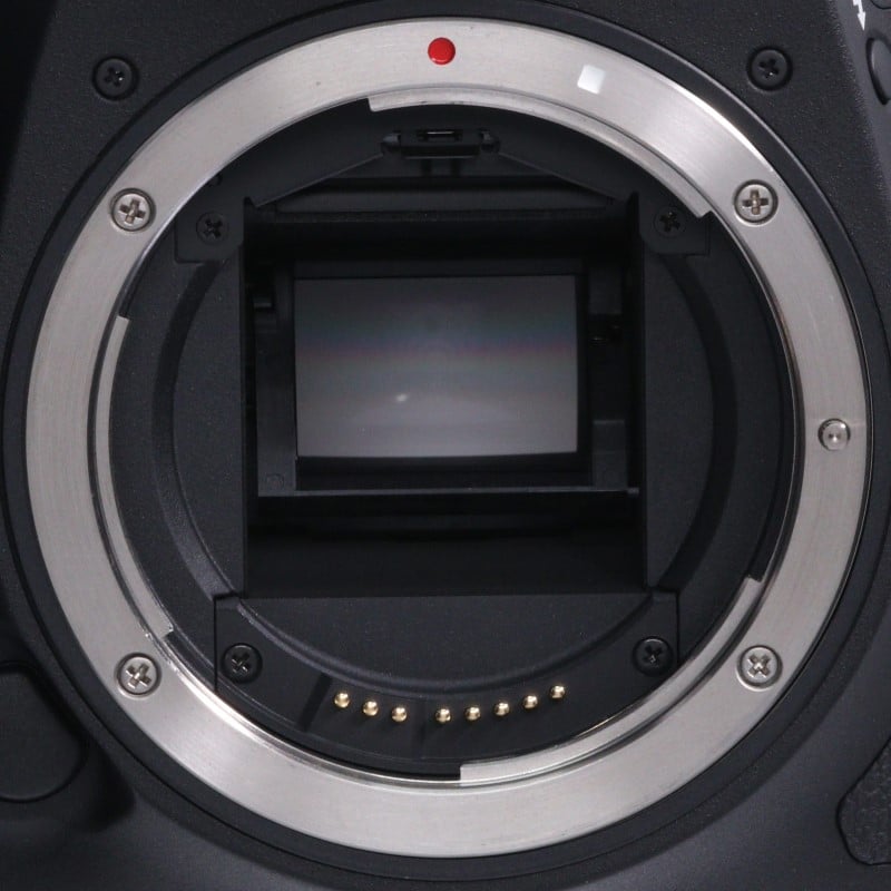 EOS 7D Mark II ボディー