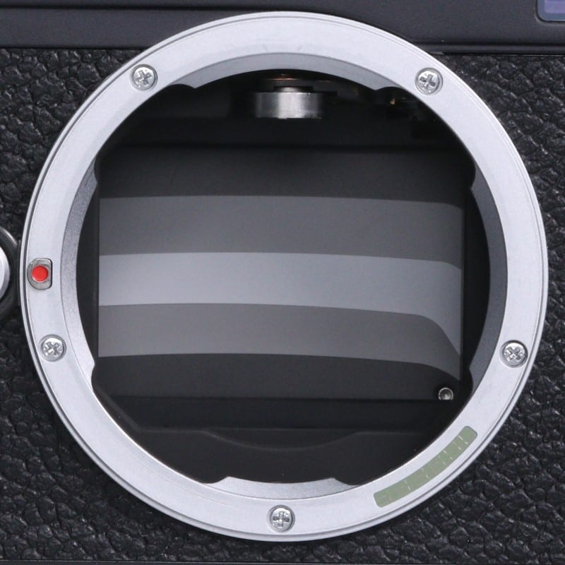 Leica M (Typ262)