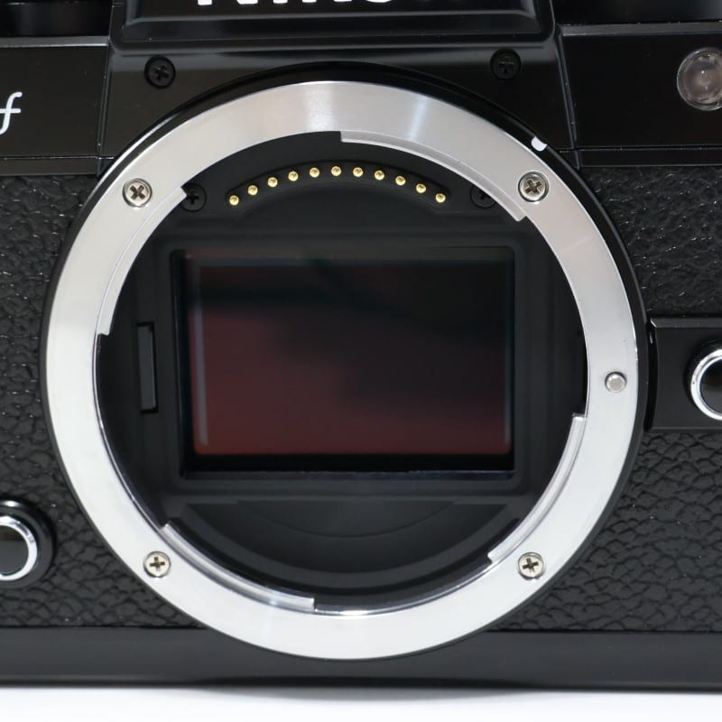 Zf ボディ（ブラック）