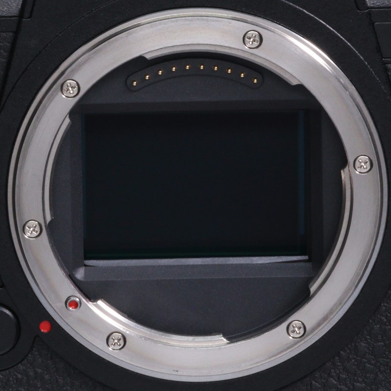 LUMIX DC-S1