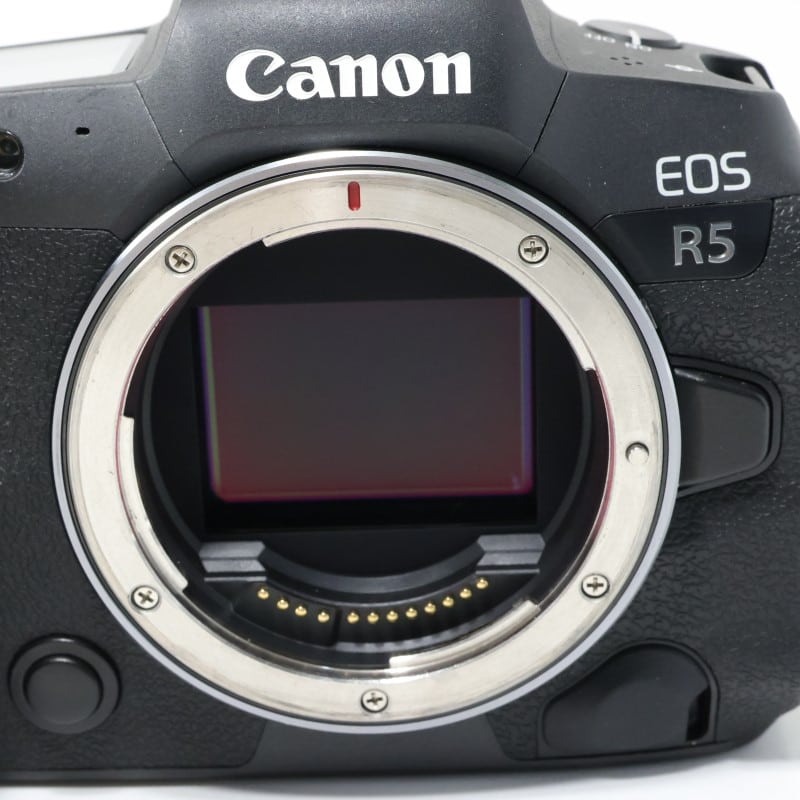 EOS R5 ボディー