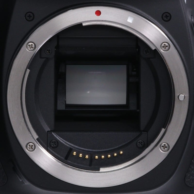 EOS 80D ボディー