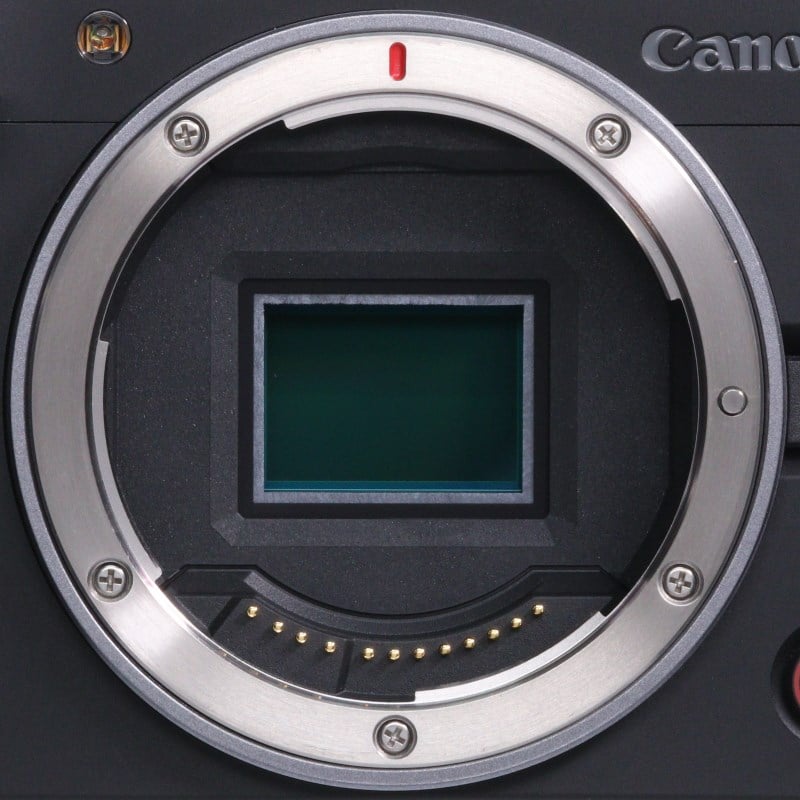 EOS R50 V ボディー