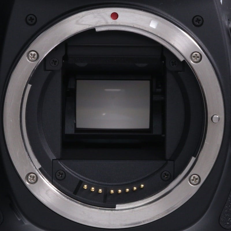 EOS 80D ボディー