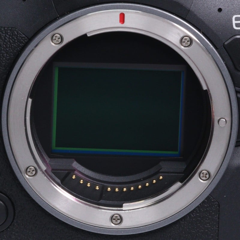 EOS R6 Mark II ボディー