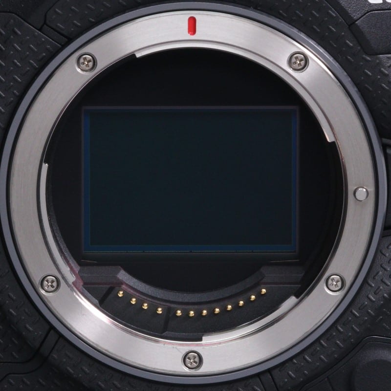 EOS R1 ボディー