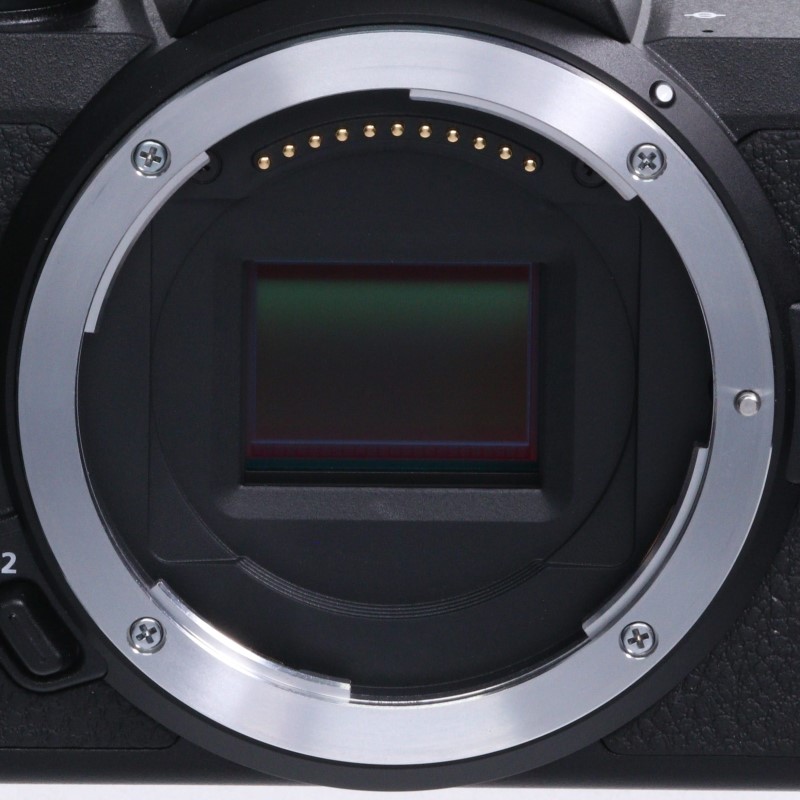Z50 ボディ