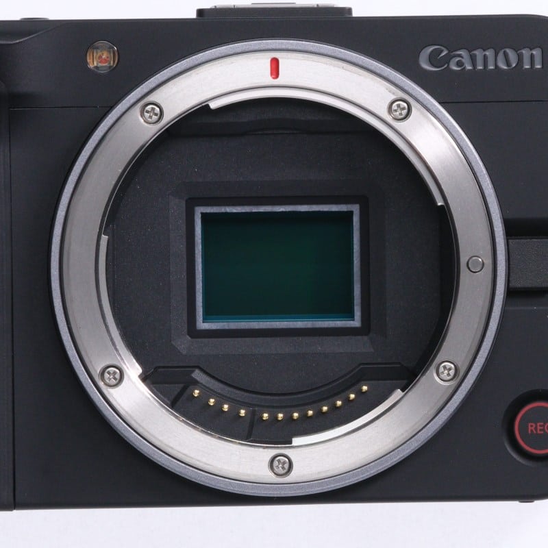 EOS R50 V ボディー