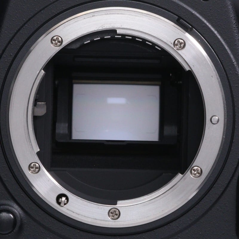 D500 ボディ