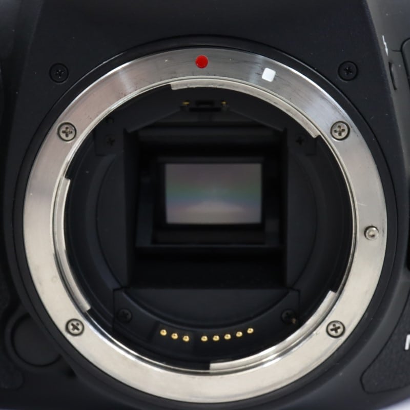 EOS 7D Mark II ボディー