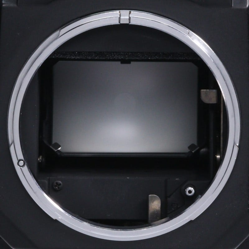 New F-1 アイレベル