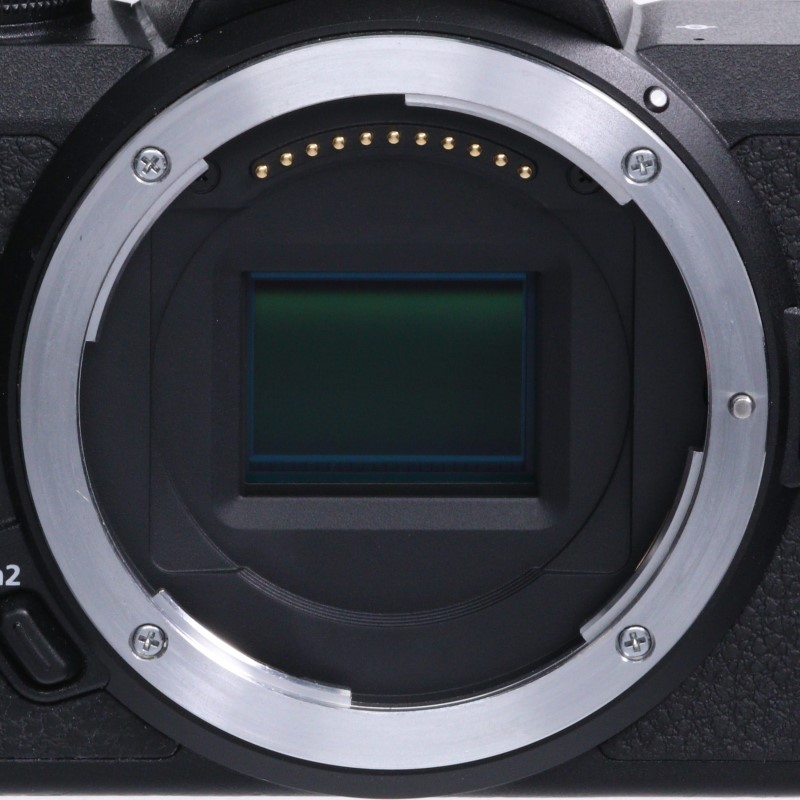 Z50 ボディ
